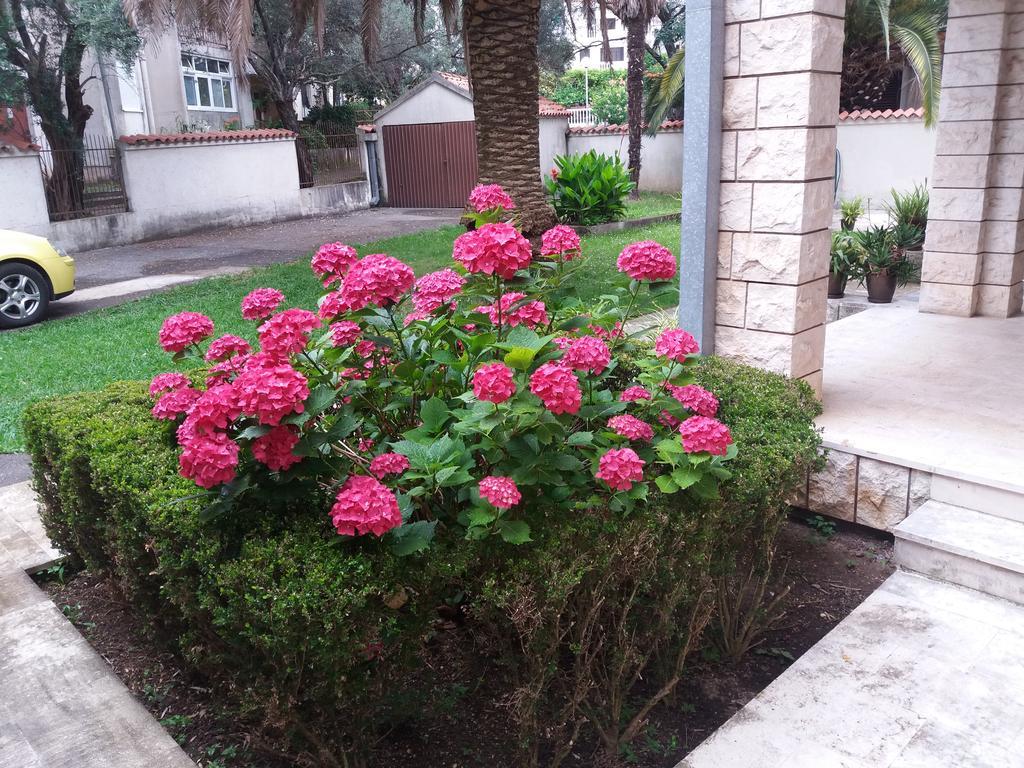Bravo Apartmani Μπούντβα Εξωτερικό φωτογραφία
